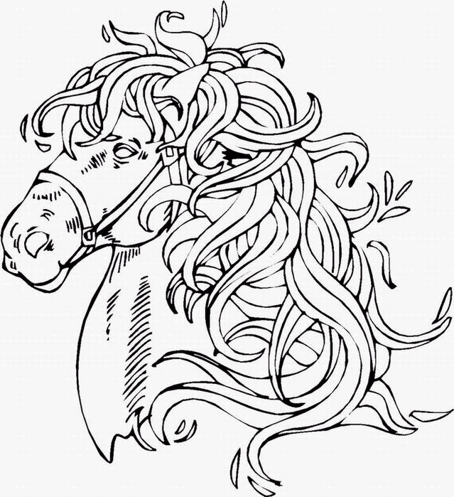 coloriage joli cheval